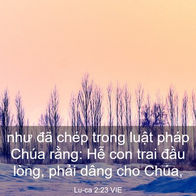 Picture 03 - Lu-ca 2:23 VIE - như đã chép trong luật pháp Chúa rằng: - Bible Verse Picture