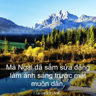 Picture 03 - Lu-ca 2:31 VIE - Mà Ngài đã sắm sửa đặng làm ánh - Bible Verse Picture