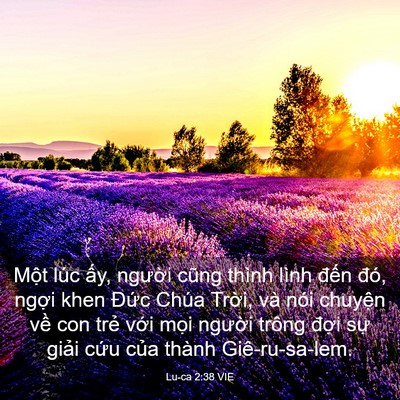 Picture 03 - Lu-ca 2:38 VIE - Một lúc ấy, người cũng thình lình - Bible Verse Picture