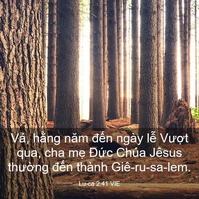 Picture 03 - Lu-ca 2:41 VIE - Vả, hằng năm đến ngày lễ Vượt qua, - Bible Verse Picture