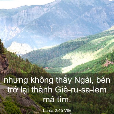 Picture 03 - Lu-ca 2:45 VIE - nhưng không thấy Ngài, bèn trở lại - Bible Verse Picture