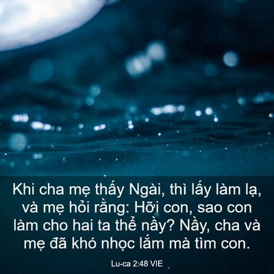 Picture 03 - Lu-ca 2:48 VIE - Khi cha mẹ thấy Ngài, thì lấy làm lạ, - Bible Verse Picture