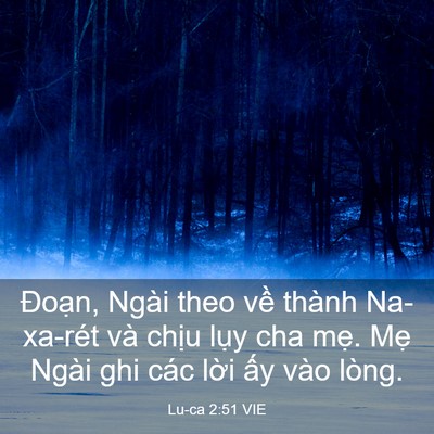Picture 03 - Lu-ca 2:51 VIE - Đoạn, Ngài theo về thành Na-xa-rét và - Bible Verse Picture