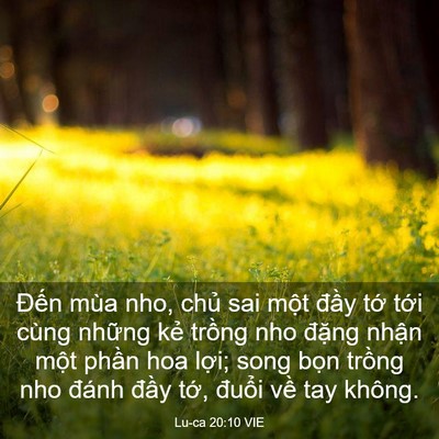 Picture 03 - Lu-ca 20:10 VIE - Đến mùa nho, chủ sai một đầy tớ - Bible Verse Picture