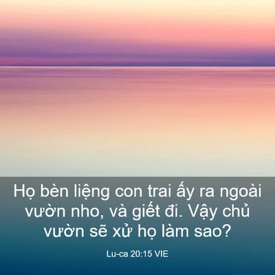 Picture 03 - Lu-ca 20:15 VIE - Họ bèn liệng con trai ấy ra ngoài vườn - Bible Verse Picture