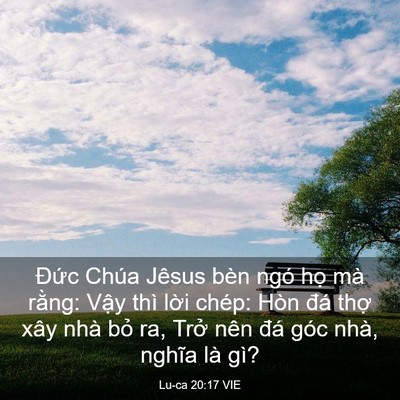 Picture 03 - Lu-ca 20:17 VIE - Đức Chúa Jêsus bèn ngó họ mà rằng: - Bible Verse Picture