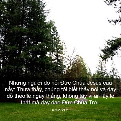 Picture 03 - Lu-ca 20:21 VIE - Những người đó hỏi Đức Chúa Jêsus - Bible Verse Picture