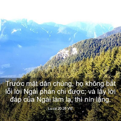 Picture 03 - Lu-ca 20:26 VIE - Trước mặt dân chúng, họ không bắt - Bible Verse Picture