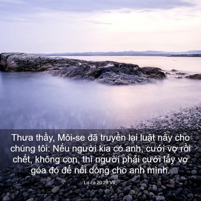Picture 03 - Lu-ca 20:28 VIE - Thưa thầy, Môi-se đã truyền lại luật - Bible Verse Picture