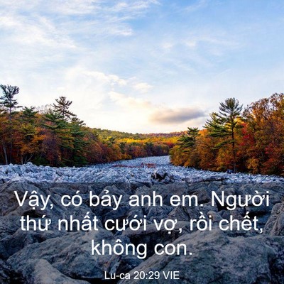 Picture 03 - Lu-ca 20:29 VIE - Vậy, có bảy anh em. Người thứ nhất - Bible Verse Picture