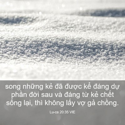 Picture 03 - Lu-ca 20:35 VIE - song những kẻ đã được kể đáng dự - Bible Verse Picture