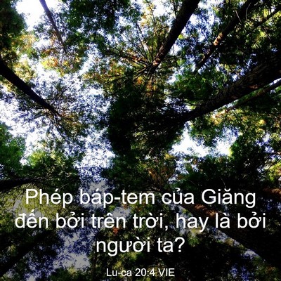 Picture 03 - Lu-ca 20:4 VIE - Phép báp-tem của Giăng đến bởi trên - Bible Verse Picture