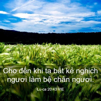 Picture 03 - Lu-ca 20:43 VIE - Cho đến khi ta bắt kẻ nghịch ngươi - Bible Verse Picture