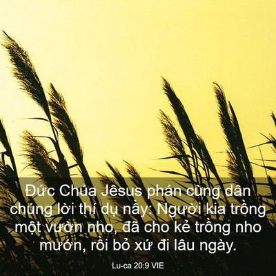 Picture 03 - Lu-ca 20:9 VIE - Đức Chúa Jêsus phán cùng dân chúng lời - Bible Verse Picture