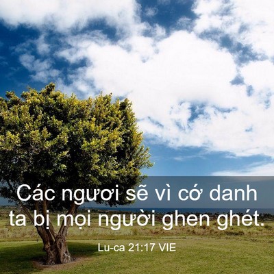 Picture 03 - Lu-ca 21:17 VIE - Các ngươi sẽ vì cớ danh ta bị mọi - Bible Verse Picture