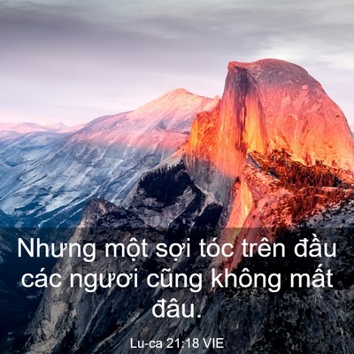 Picture 03 - Lu-ca 21:18 VIE - Nhưng một sợi tóc trên đầu các ngươi - Bible Verse Picture