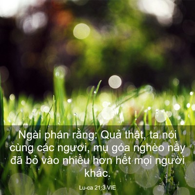 Picture 03 - Lu-ca 21:3 VIE - Ngài phán rằng: Quả thật, ta nói cùng - Bible Verse Picture