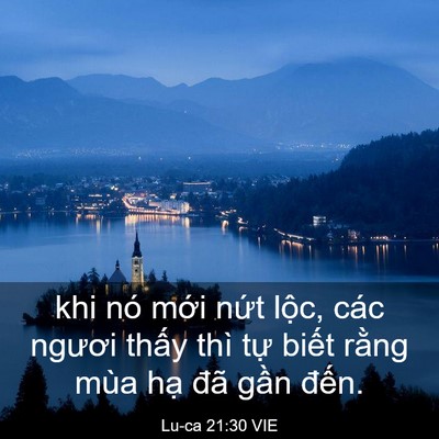 Picture 03 - Lu-ca 21:30 VIE - khi nó mới nứt lộc, các ngươi thấy - Bible Verse Picture