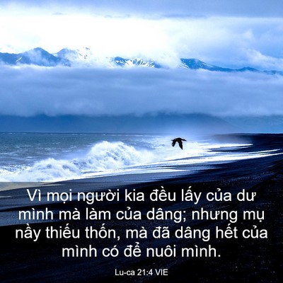Picture 03 - Lu-ca 21:4 VIE - Vì mọi người kia đều lấy của dư - Bible Verse Picture