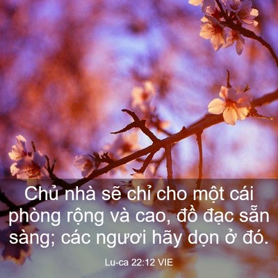Picture 03 - Lu-ca 22:12 VIE - Chủ nhà sẽ chỉ cho một cái phòng - Bible Verse Picture