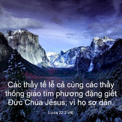 Picture 03 - Lu-ca 22:2 VIE - Các thầy tế lễ cả cùng các thầy - Bible Verse Picture