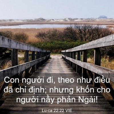Picture 03 - Lu-ca 22:22 VIE - Con người đi, theo như điều đã chỉ - Bible Verse Picture