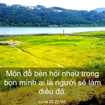 Picture 03 - Lu-ca 22:23 VIE - Môn đồ bèn hỏi nhau trong bọn mình ai - Bible Verse Picture