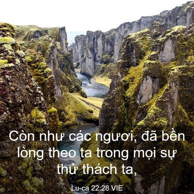 Picture 03 - Lu-ca 22:28 VIE - Còn như các ngươi, đã bền lòng theo ta - Bible Verse Picture
