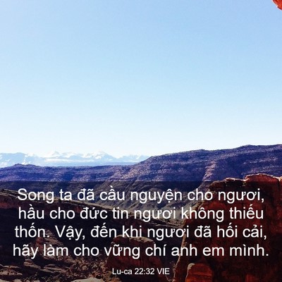 Picture 03 - Lu-ca 22:32 VIE - Song ta đã cầu nguyện cho ngươi, hầu - Bible Verse Picture
