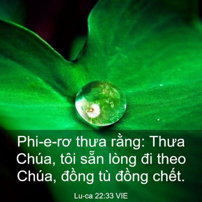 Picture 03 - Lu-ca 22:33 VIE - Phi-e-rơ thưa rằng: Thưa Chúa, tôi sẵn - Bible Verse Picture
