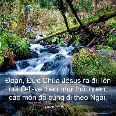 Picture 03 - Lu-ca 22:39 VIE - Đoạn, Đức Chúa Jêsus ra đi, lên núi - Bible Verse Picture