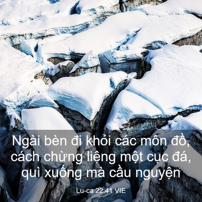 Picture 03 - Lu-ca 22:41 VIE - Ngài bèn đi khỏi các môn đồ, cách - Bible Verse Picture