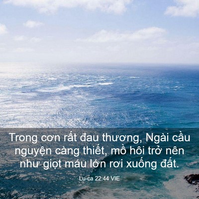 Picture 03 - Lu-ca 22:44 VIE - Trong cơn rất đau thương, Ngài cầu - Bible Verse Picture
