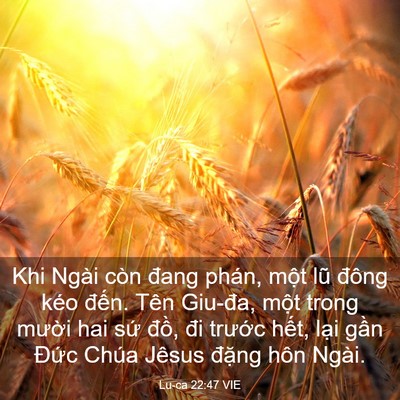 Picture 03 - Lu-ca 22:47 VIE - Khi Ngài còn đang phán, một lũ đông kéo - Bible Verse Picture