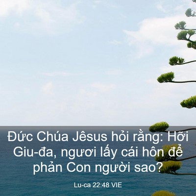 Picture 03 - Lu-ca 22:48 VIE - Đức Chúa Jêsus hỏi rằng: Hỡi Giu-đa, - Bible Verse Picture