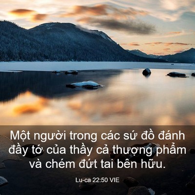 Picture 03 - Lu-ca 22:50 VIE - Một người trong các sứ đồ đánh - Bible Verse Picture