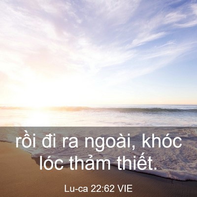 Picture 03 - Lu-ca 22:62 VIE - rồi đi ra ngoài, khóc lóc thảm - Bible Verse Picture