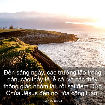 Picture 03 - Lu-ca 22:66 VIE - Đến sáng ngày, các trưởng lão trong - Bible Verse Picture
