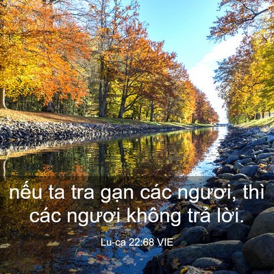 Picture 03 - Lu-ca 22:68 VIE - nếu ta tra gạn các ngươi, thì các - Bible Verse Picture