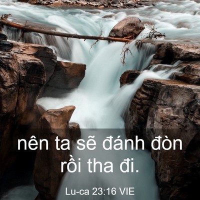 Picture 03 - Lu-ca 23:16 VIE - nên ta sẽ đánh đòn rồi tha - Bible Verse Picture