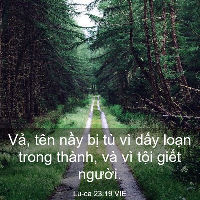 Picture 03 - Lu-ca 23:19 VIE - Vả, tên nầy bị tù vì dấy loạn trong - Bible Verse Picture