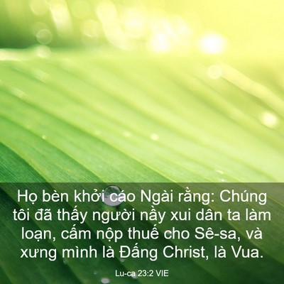 Picture 03 - Lu-ca 23:2 VIE - Họ bèn khởi cáo Ngài rằng: Chúng tôi - Bible Verse Picture
