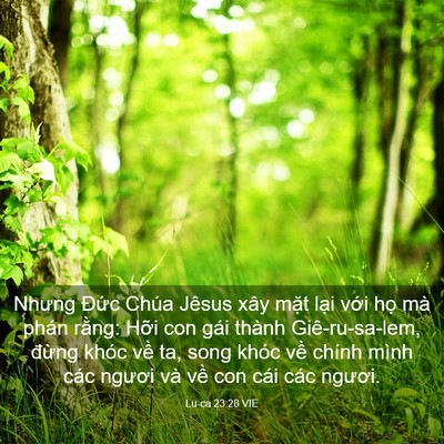 Picture 03 - Lu-ca 23:28 VIE - Nhưng Đức Chúa Jêsus xây mặt lại với - Bible Verse Picture