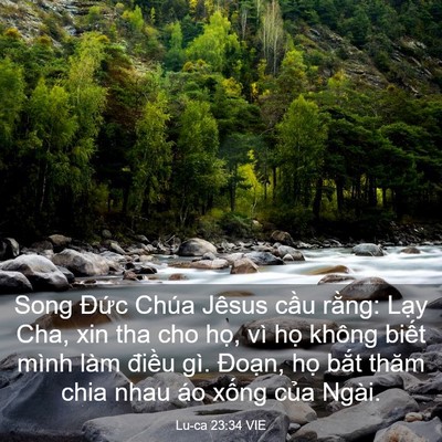 Picture 03 - Lu-ca 23:34 VIE - Song Đức Chúa Jêsus cầu rằng: Lạy Cha, - Bible Verse Picture
