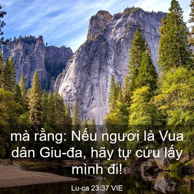 Picture 03 - Lu-ca 23:37 VIE - mà rằng: Nếu ngươi là Vua dân Giu-đa, - Bible Verse Picture