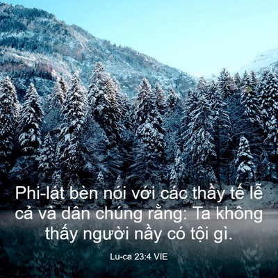 Picture 03 - Lu-ca 23:4 VIE - Phi-lát bèn nói với các thầy tế lễ - Bible Verse Picture