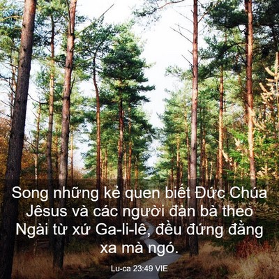 Picture 03 - Lu-ca 23:49 VIE - Song những kẻ quen biết Đức Chúa Jêsus - Bible Verse Picture