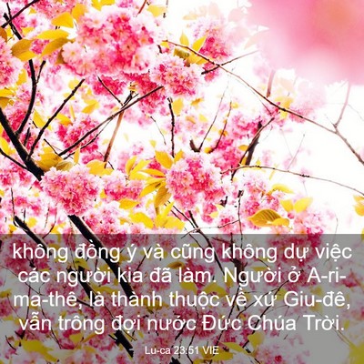 Picture 03 - Lu-ca 23:51 VIE - không đồng ý và cũng không dự việc - Bible Verse Picture