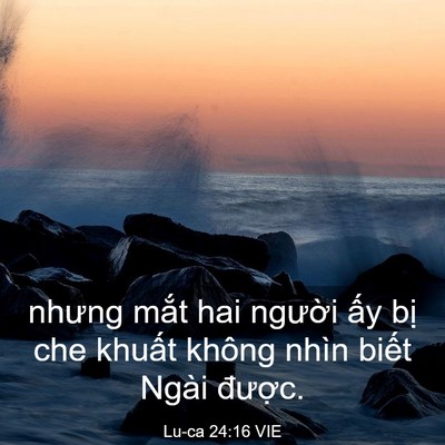 Picture 03 - Lu-ca 24:16 VIE - nhưng mắt hai người ấy bị che khuất - Bible Verse Picture
