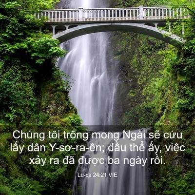 Picture 03 - Lu-ca 24:21 VIE - Chúng tôi trông mong Ngài sẽ cứu lấy - Bible Verse Picture